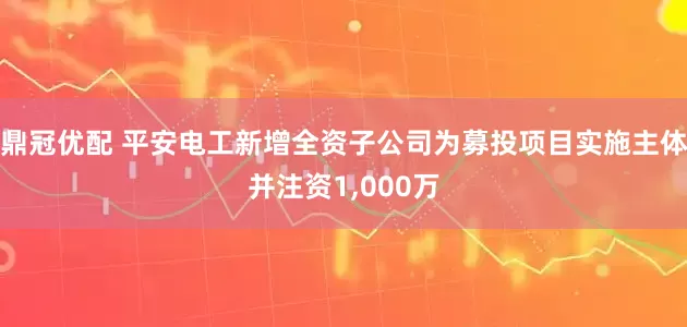 鼎冠优配 平安电工新增全资子公司为募投项目实施主体并注资1,000万